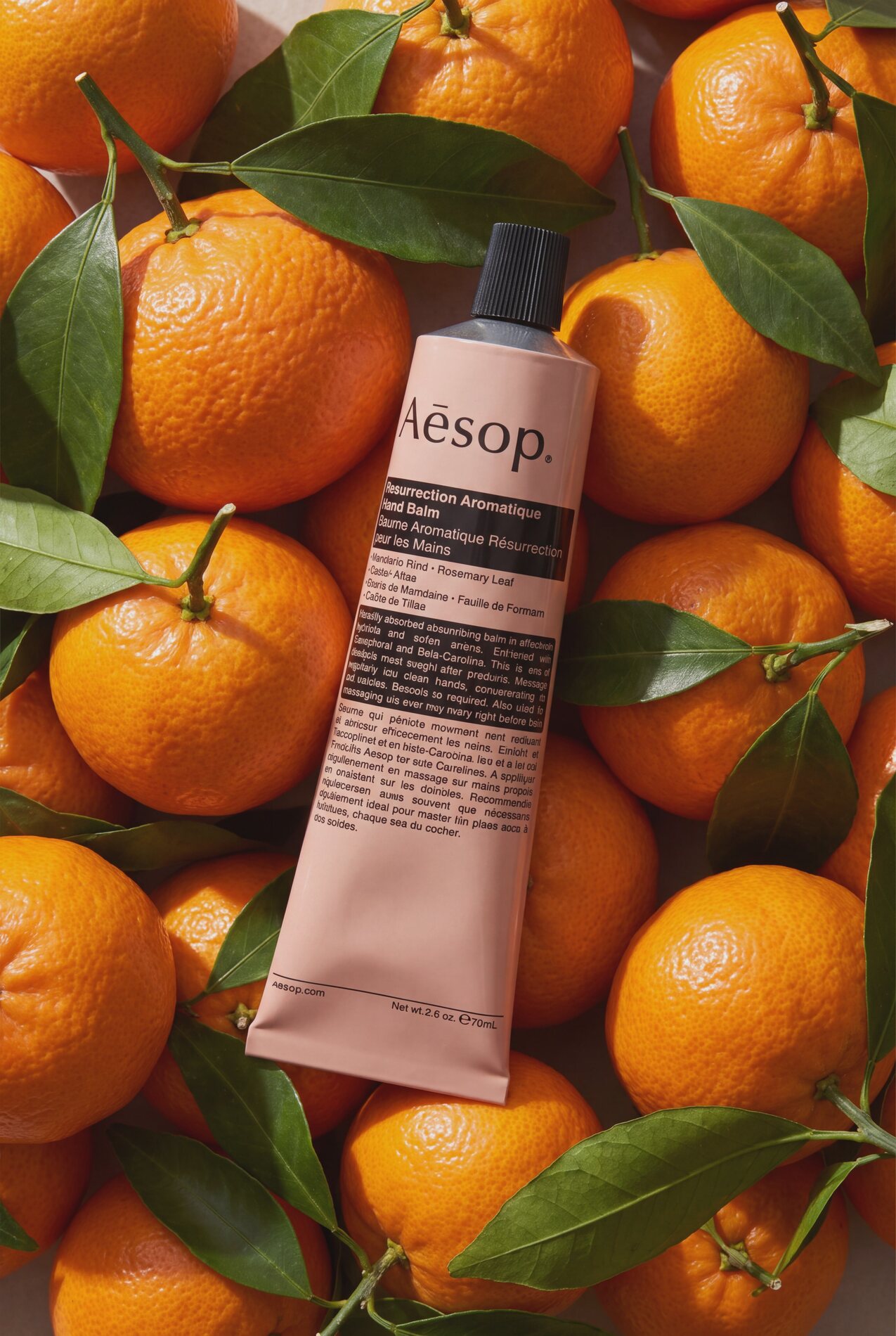 Aesop campaign image